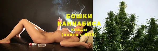 PSILOCYBIN Алексеевка